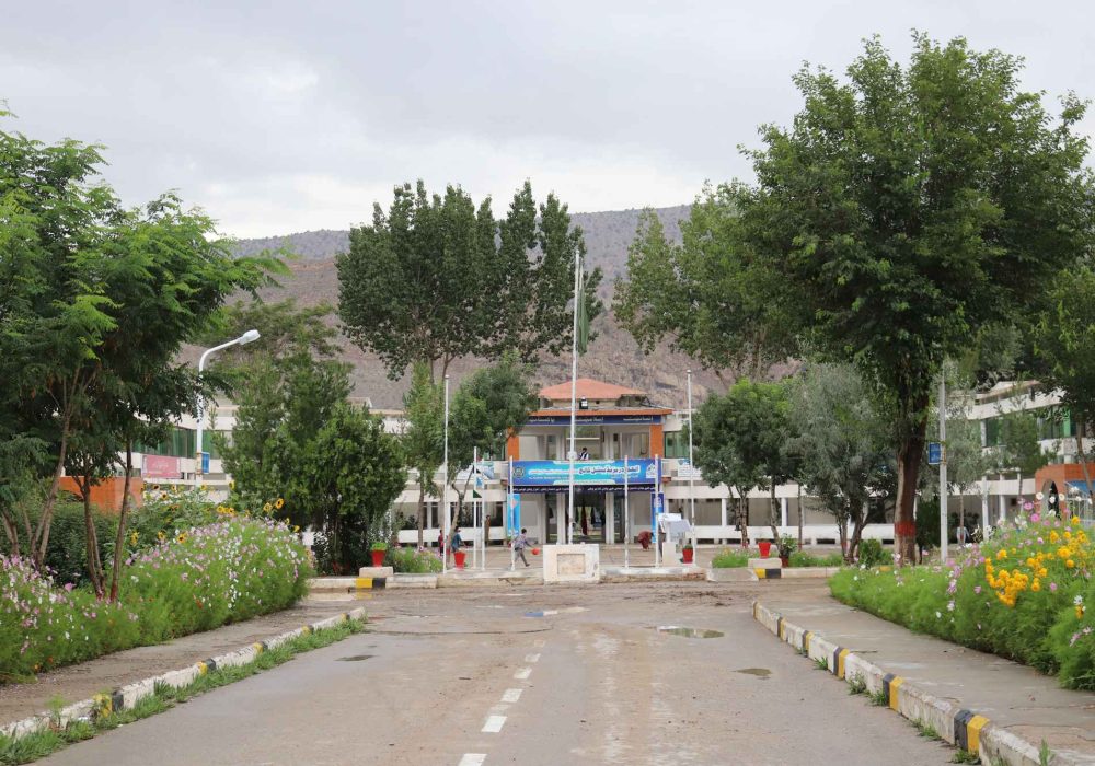 Untitled design (25)